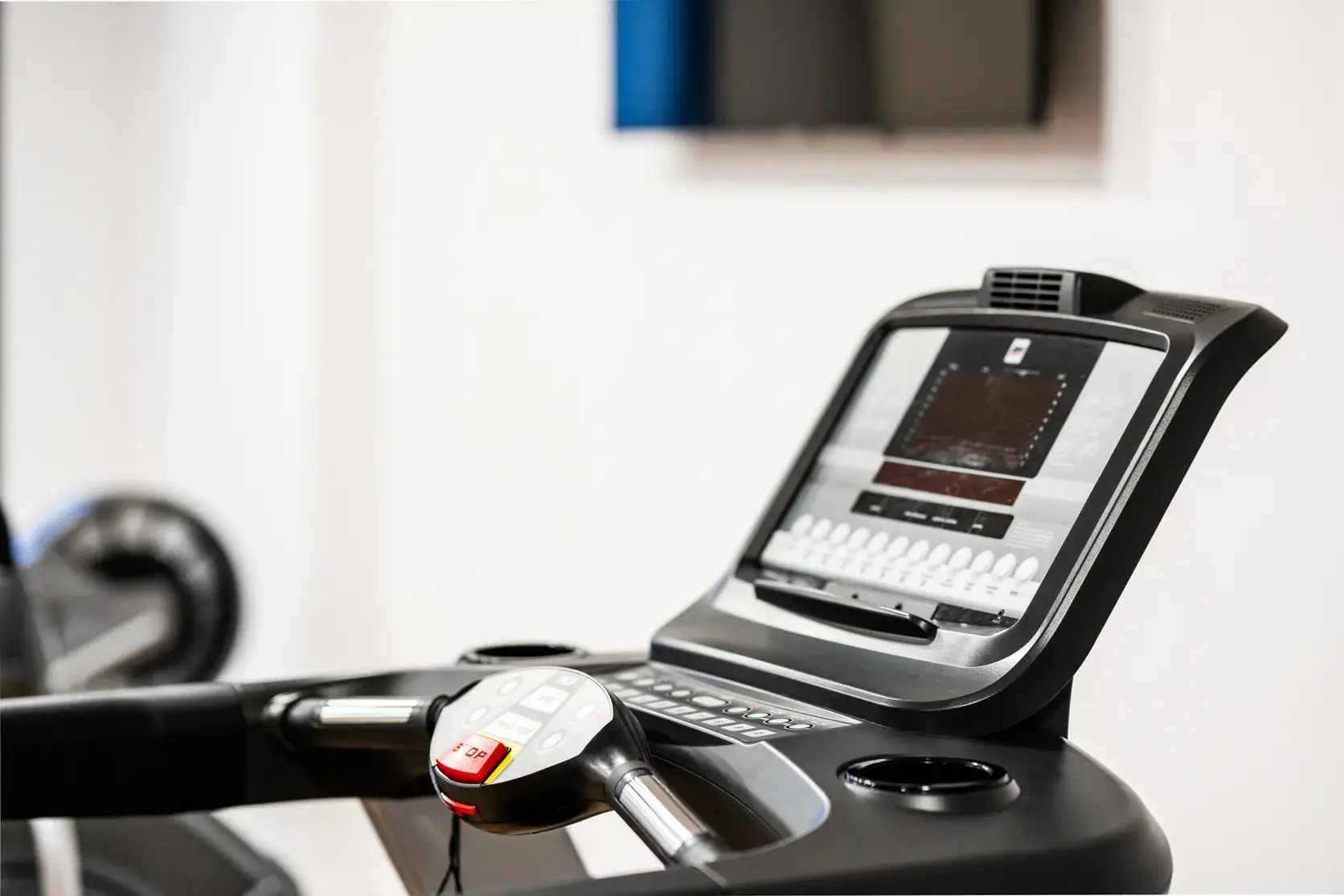 Wellness 1